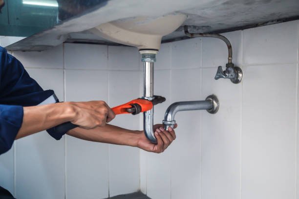 Best Local Plumber Services  in Ellington, MO