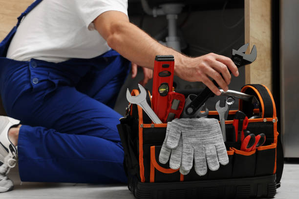 Best Local Plumber Services  in Ellington, MO